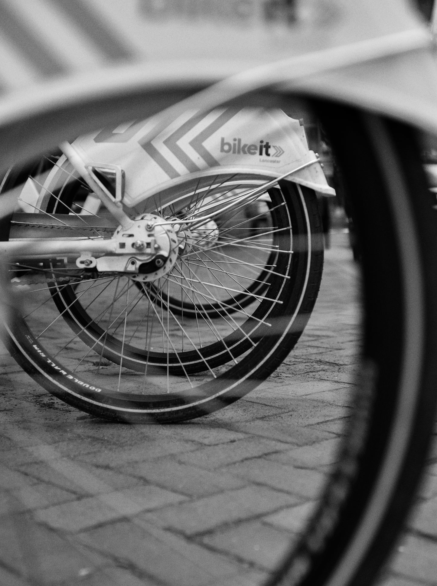 Borrowed Motion